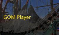 GOM Player Plus下载 2.3.29.5288 中文版